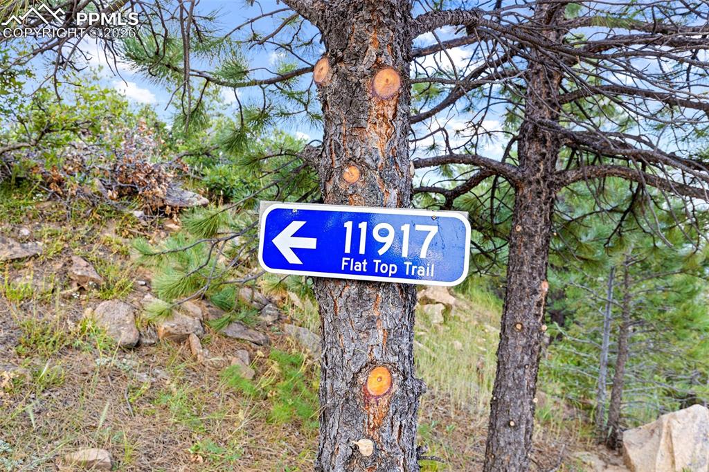 11917 Flat Top Trail Littleton CO 80127