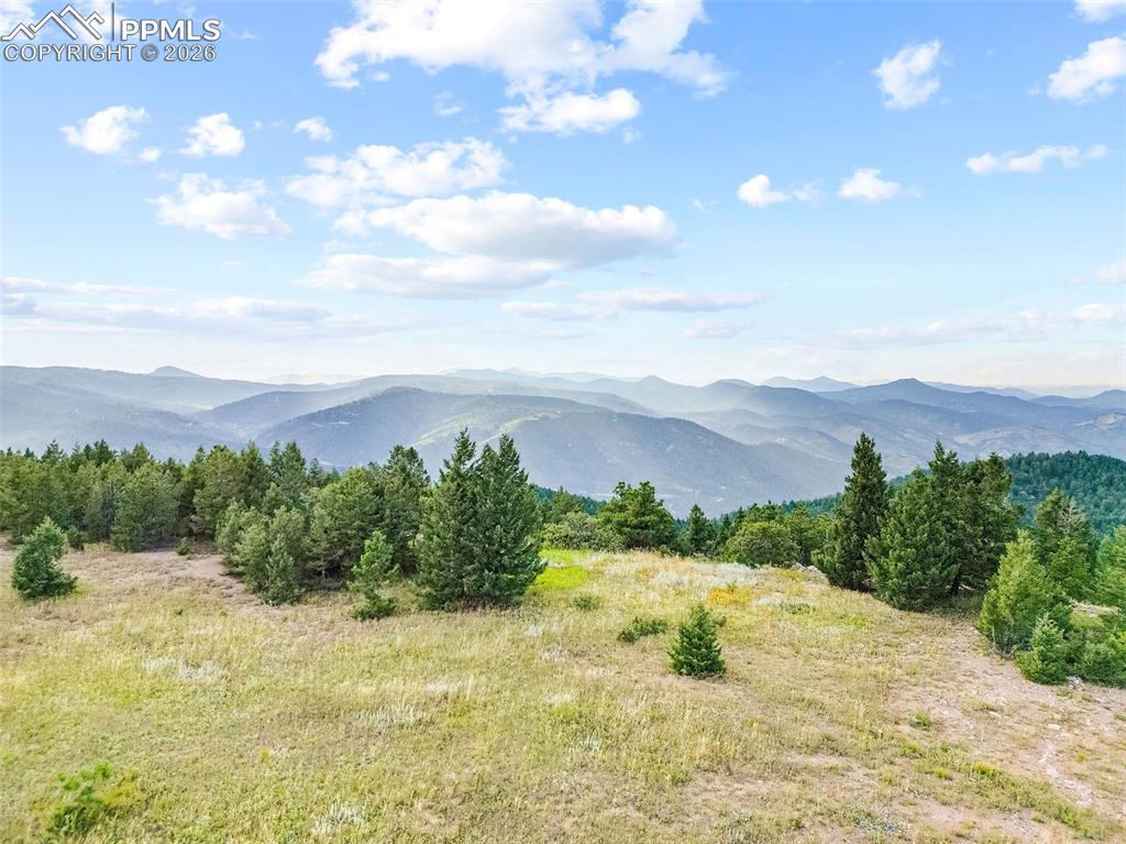11917 Flat Top Trail Littleton CO 80127