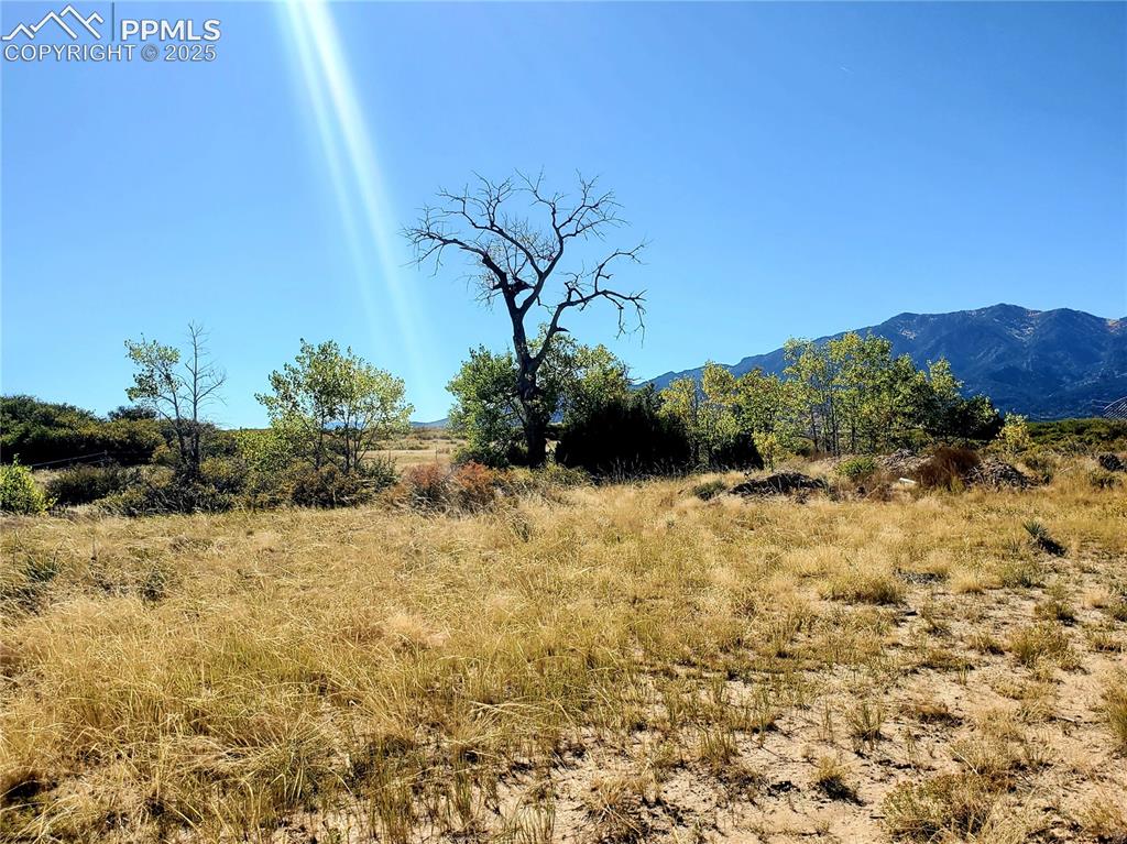 County Road 650 Walsenburg CO 81089