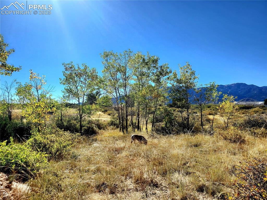 County Road 650 Walsenburg CO 81089