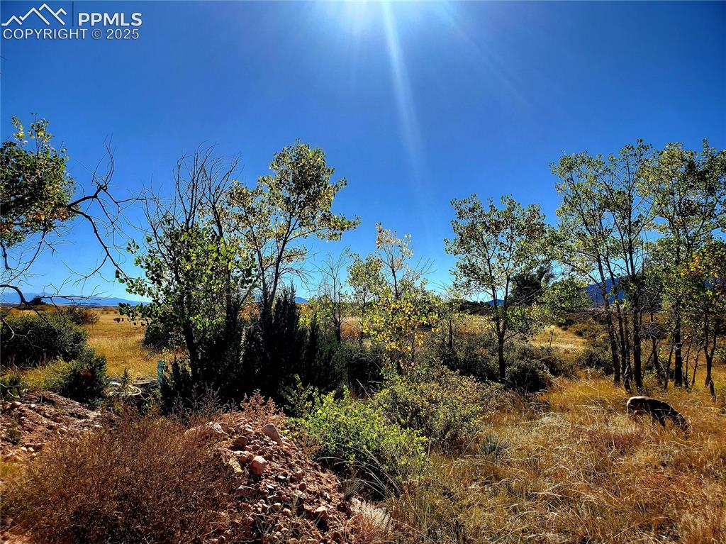County Road 650 Walsenburg CO 81089