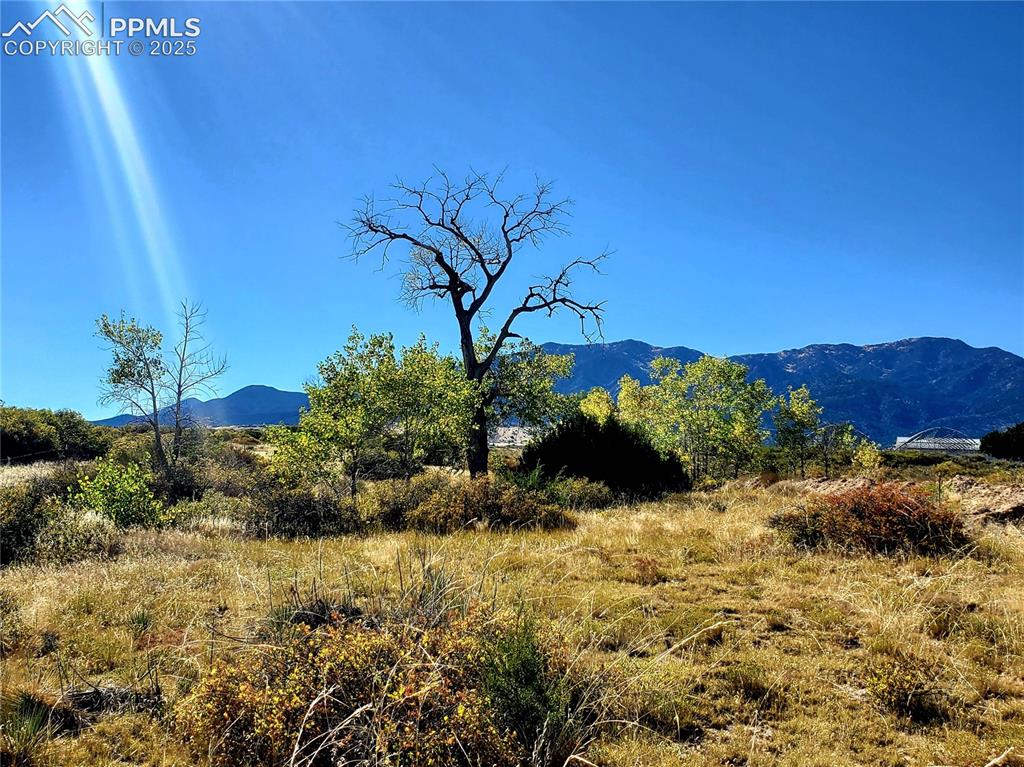 County Road 650 Walsenburg CO 81089
