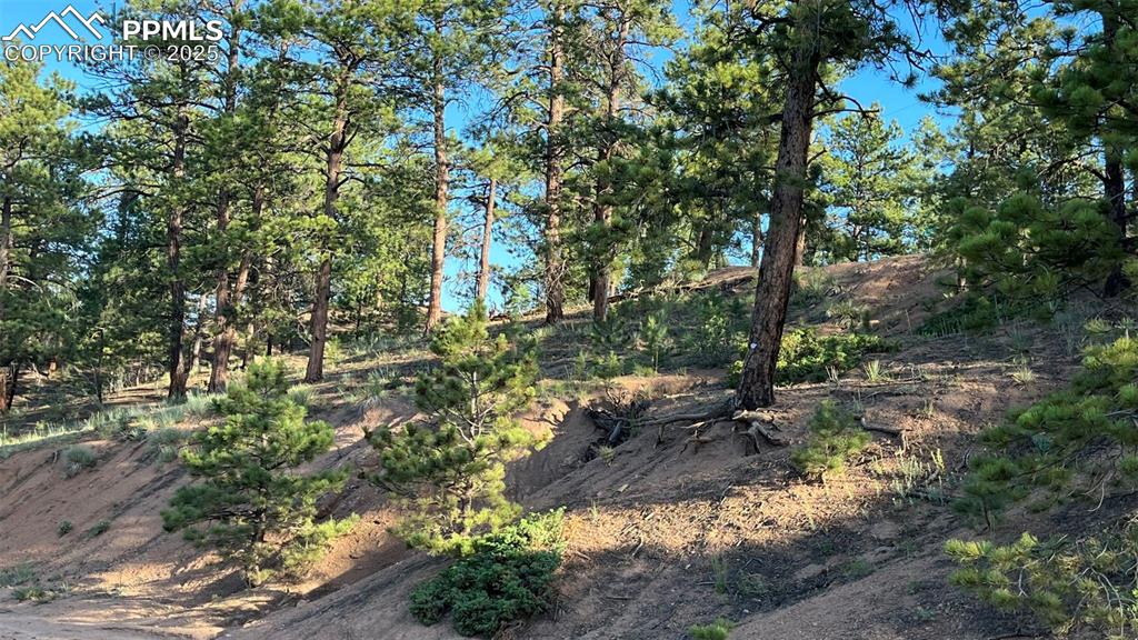 Sedalia CO, 19 Ranch Road