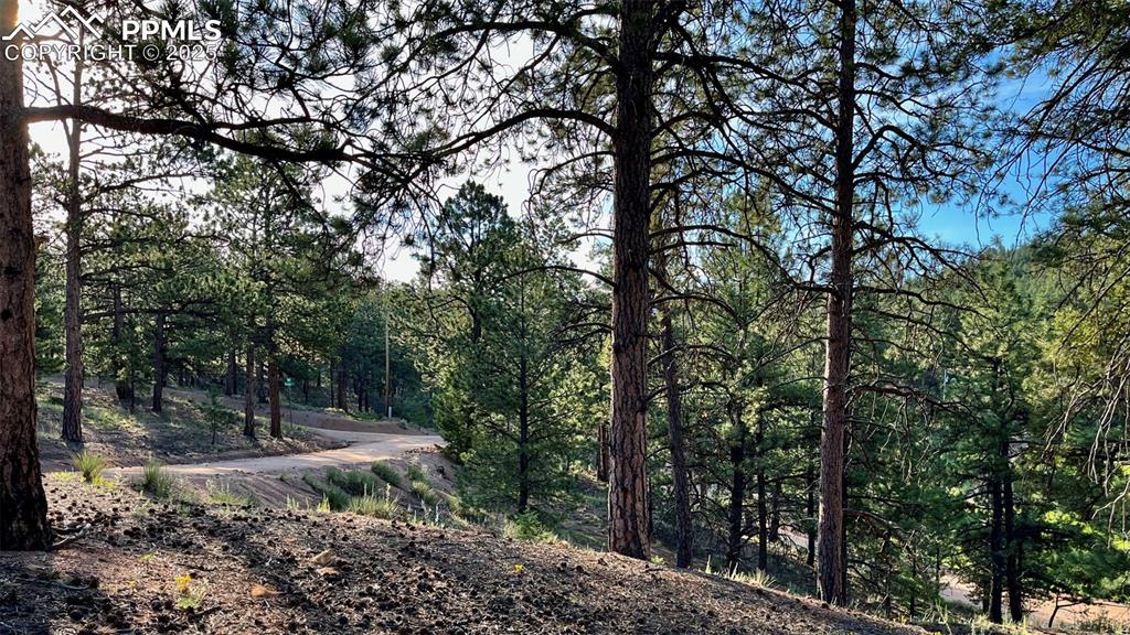 19 Ranch Road Sedalia CO 80135