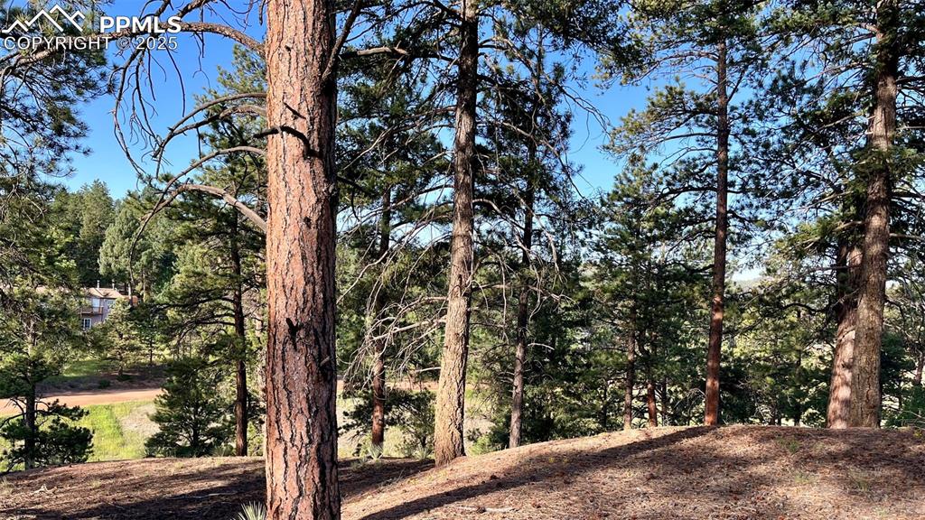 19 Ranch Road Sedalia CO 80135