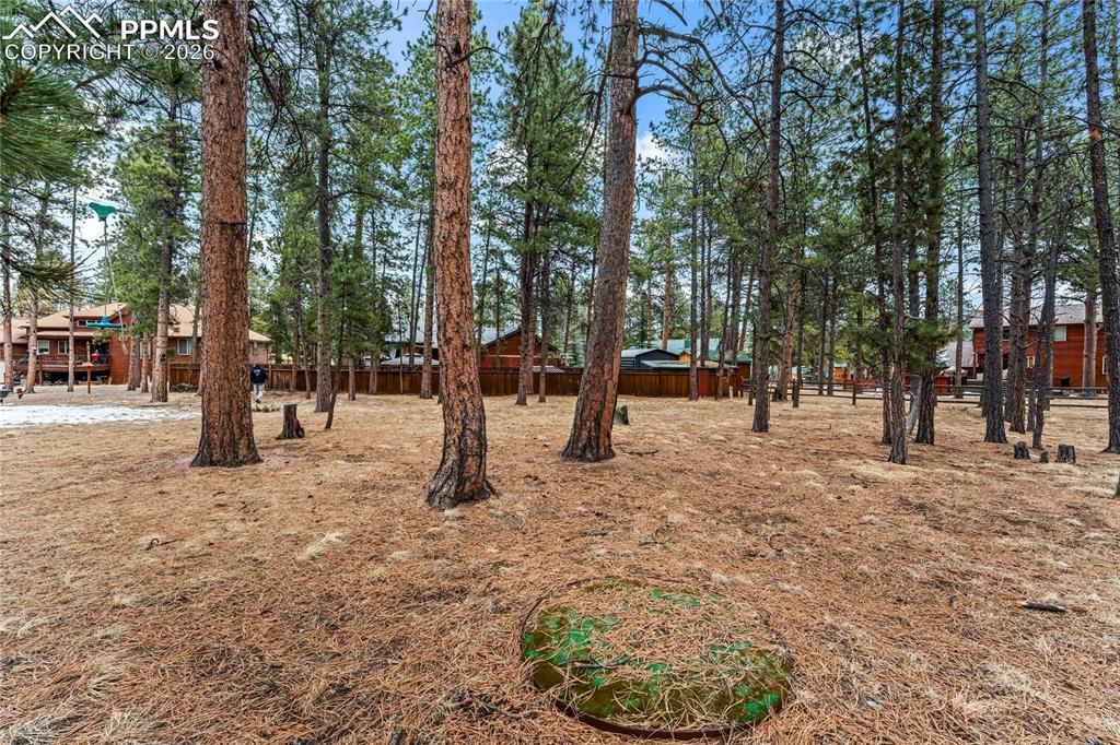 109 Flagstick Drive Woodland Park CO 80863