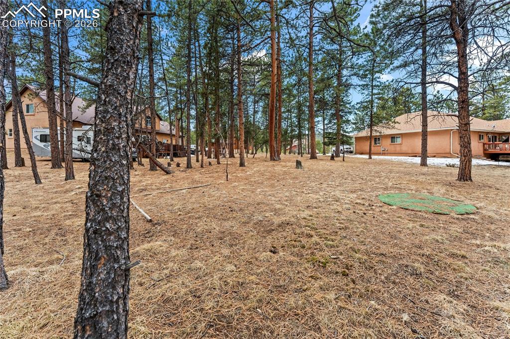 109 Flagstick Drive Woodland Park CO 80863