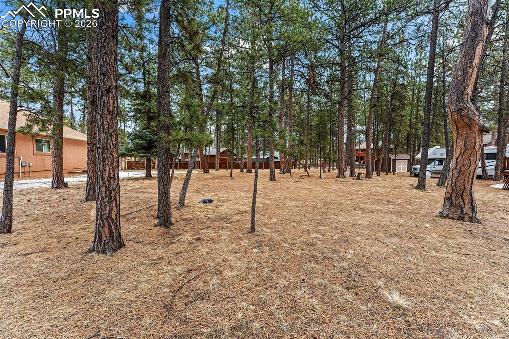 109 Flagstick Drive Woodland Park CO 80863
