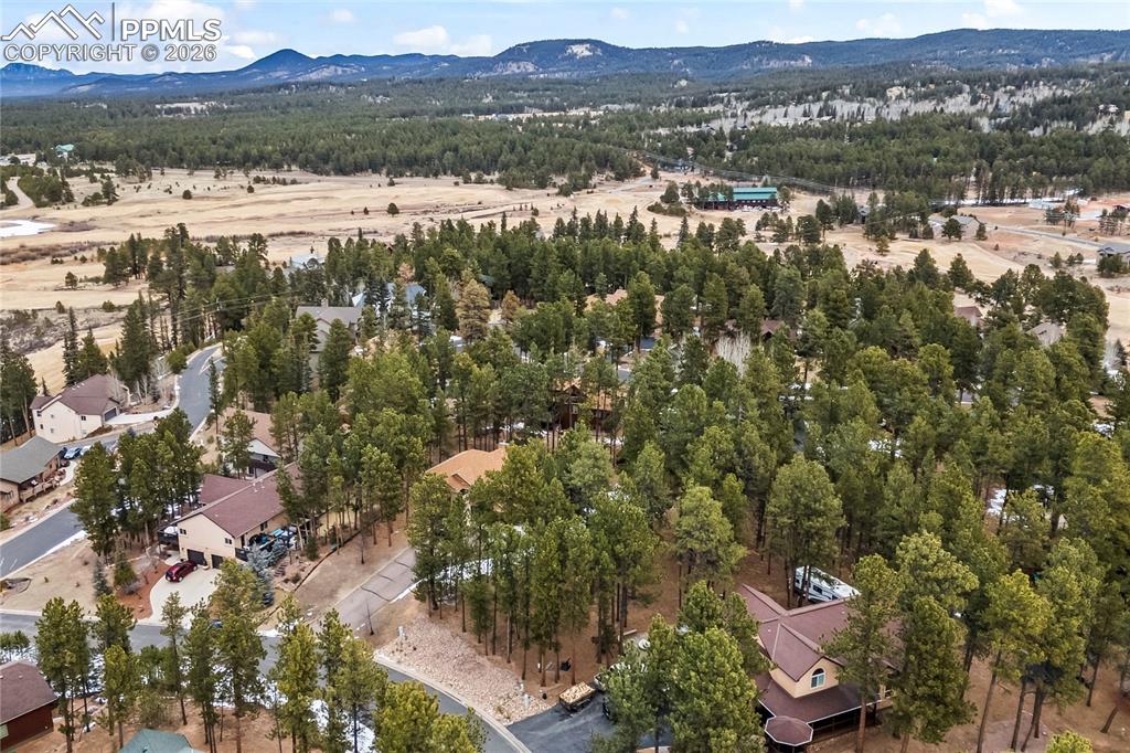 109 Flagstick Drive Woodland Park CO 80863