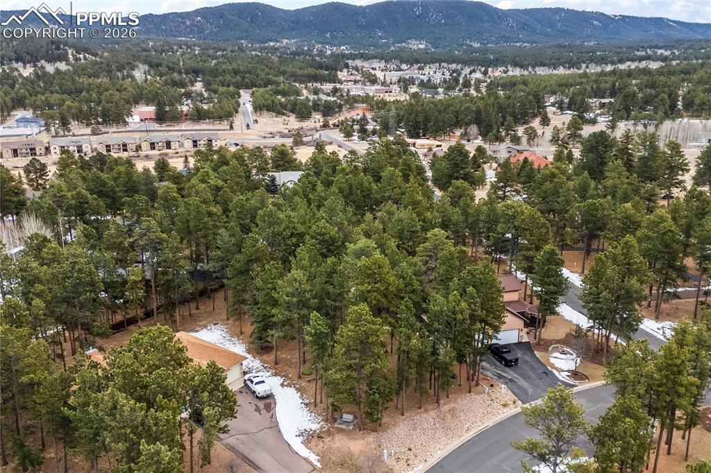 109 Flagstick Drive Woodland Park CO 80863