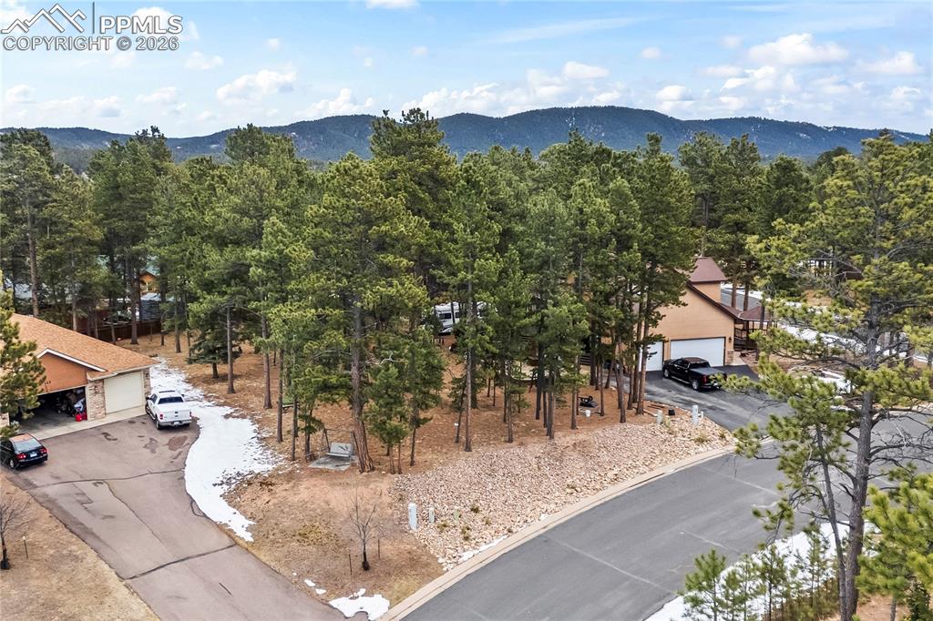 109 Flagstick Drive Woodland Park CO 80863