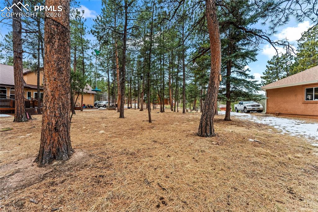 109 Flagstick Drive Woodland Park CO 80863