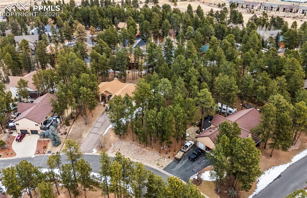 109 Flagstick Drive Woodland Park CO 80863