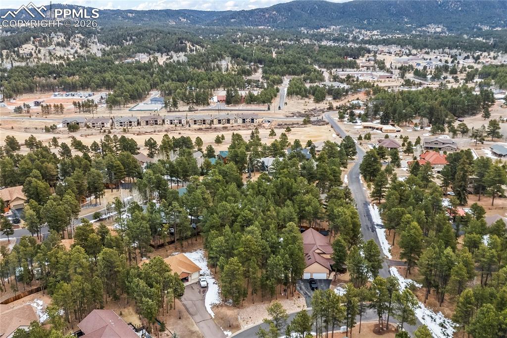 109 Flagstick Drive Woodland Park CO 80863