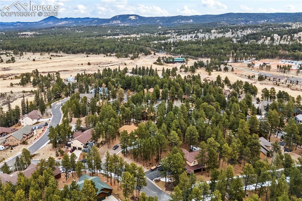 109 Flagstick Drive Woodland Park CO 80863