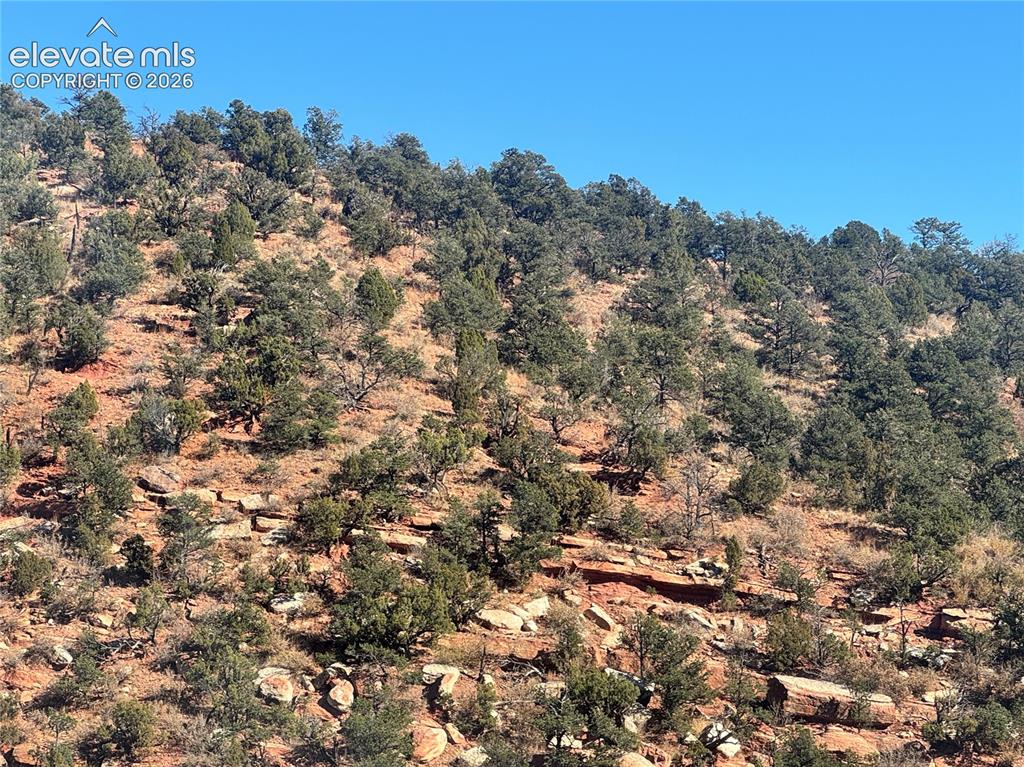 Tarrant Street Manitou Springs CO 80829