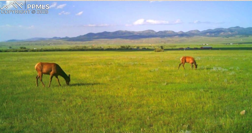 County Road 119 Westcliffe CO 81252