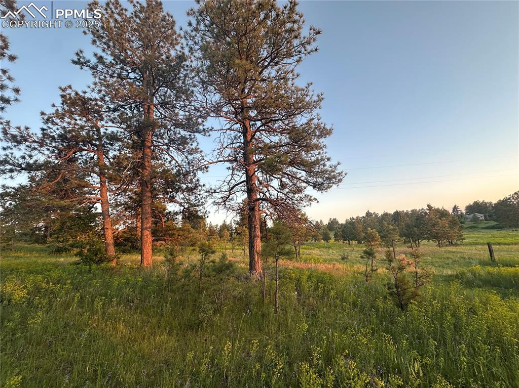 10421 Remmick Ridge Road Parker CO 80134