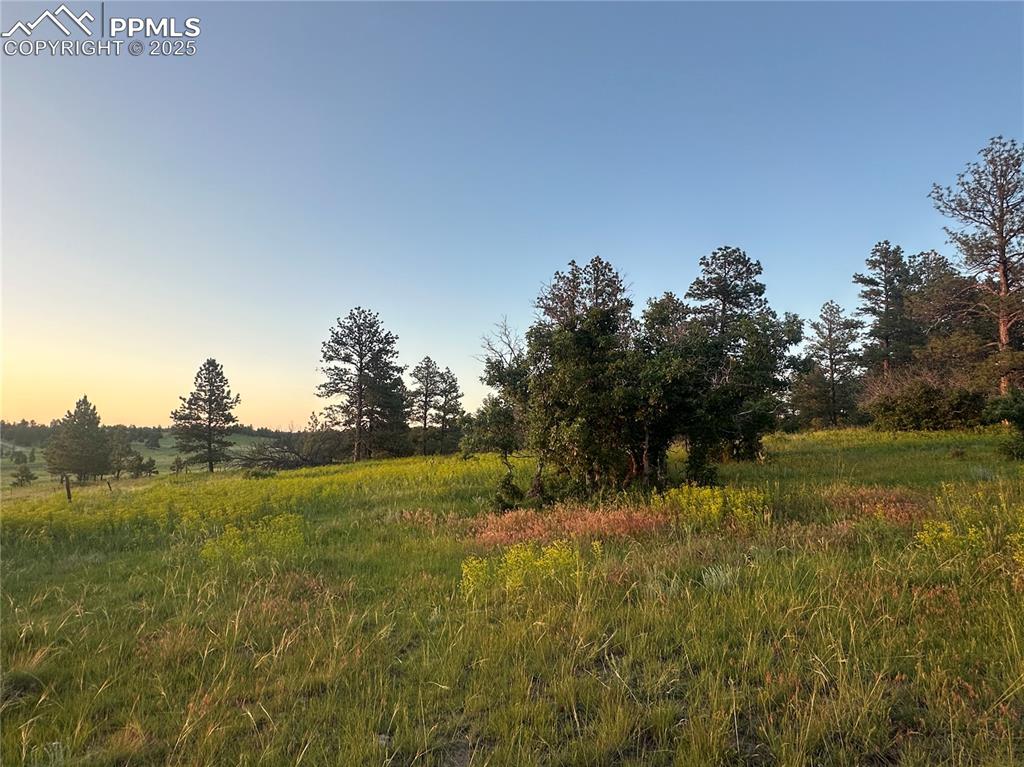 10421 Remmick Ridge Road Parker CO 80134
