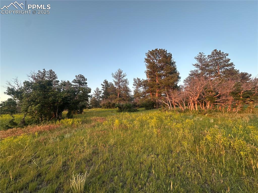 10421 Remmick Ridge Road Parker CO 80134