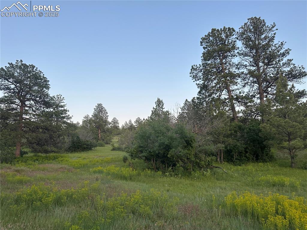 10421 Remmick Ridge Road Parker CO 80134
