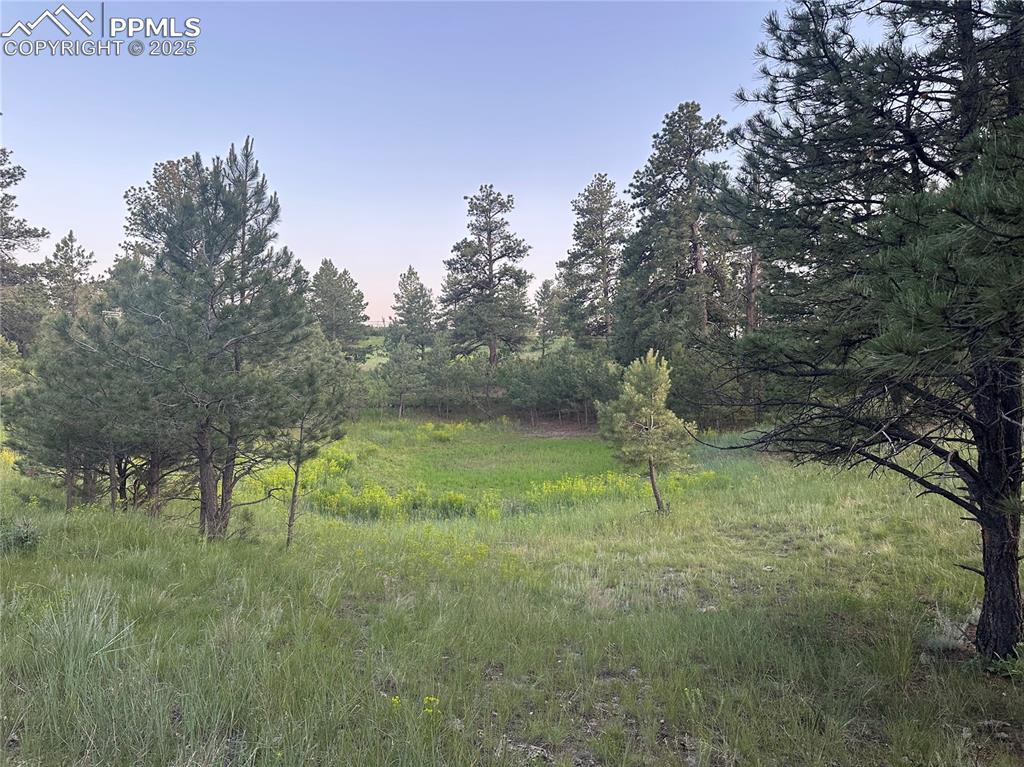 10421 Remmick Ridge Road Parker CO 80134