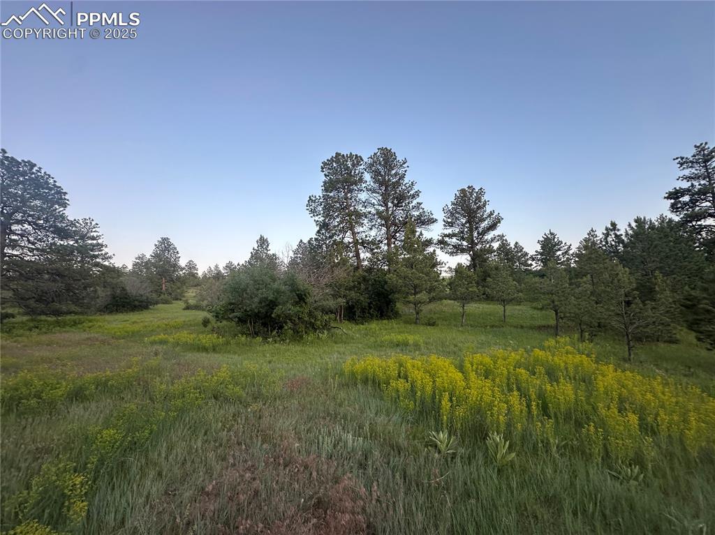 10421 Remmick Ridge Road Parker CO 80134