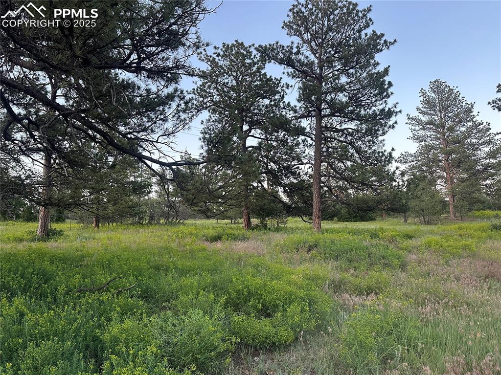 10421 Remmick Ridge Road Parker CO 80134