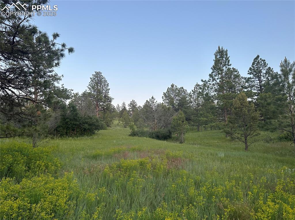 10421 Remmick Ridge Road Parker CO 80134