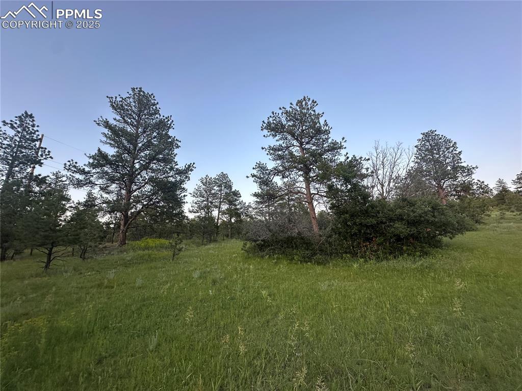 10421 Remmick Ridge Road Parker CO 80134