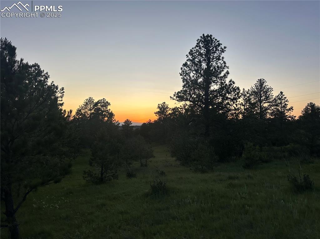 10421 Remmick Ridge Road Parker CO 80134
