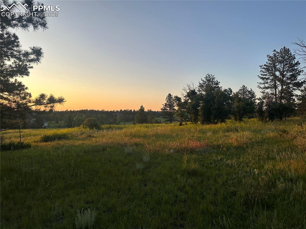 10421 Remmick Ridge Road Parker CO 80134