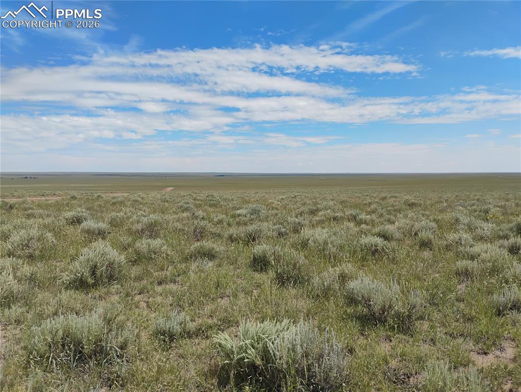 20250 Squirrel Creek Road Colorado Springs CO 80928
