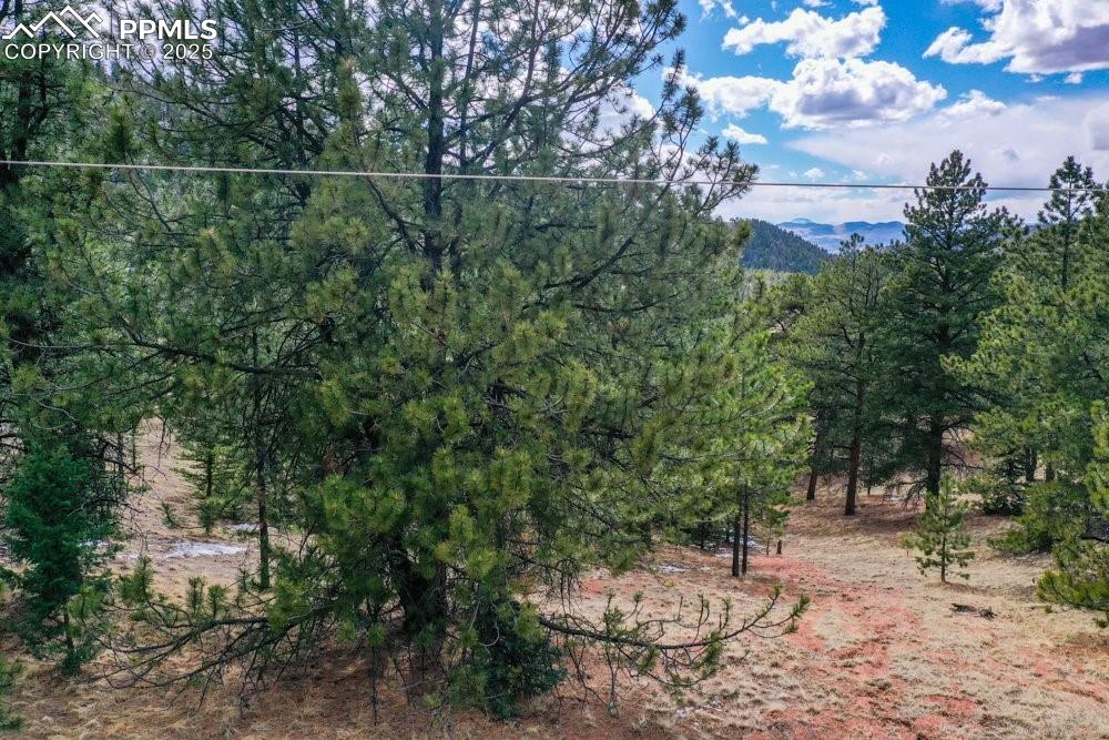 395 Wabash Terrace Cripple Creek CO 80813
