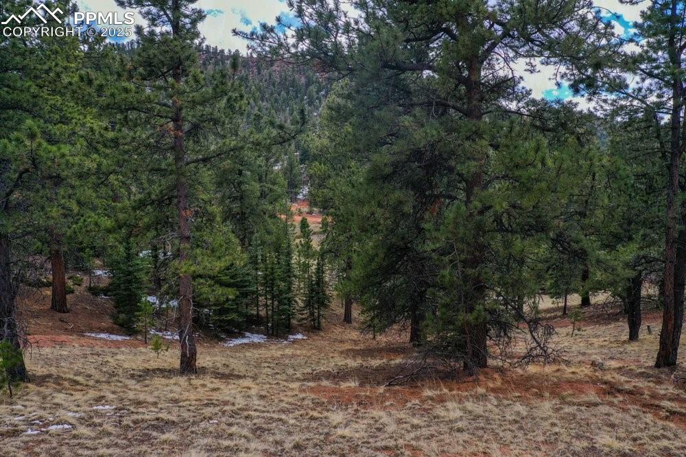 395 Wabash Terrace Cripple Creek CO 80813