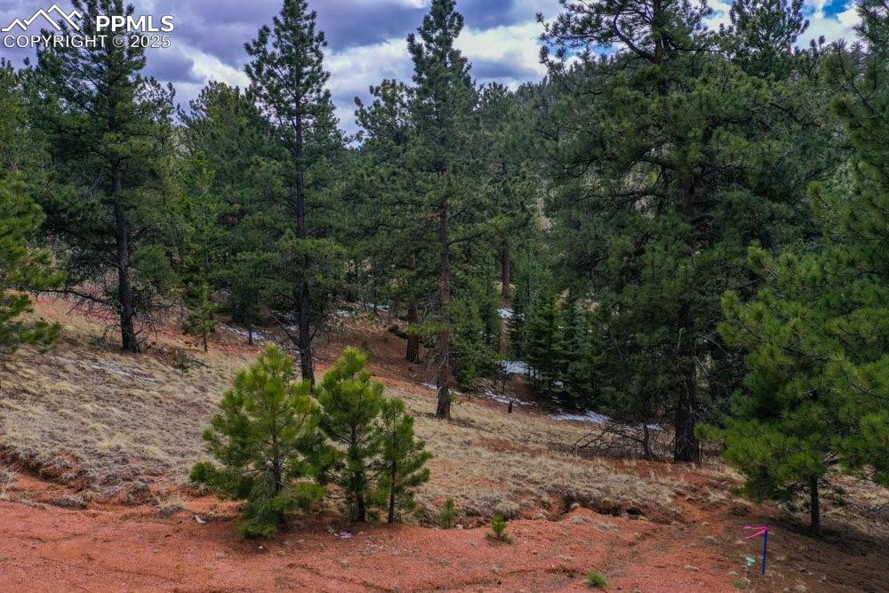 395 Wabash Terrace Cripple Creek CO 80813
