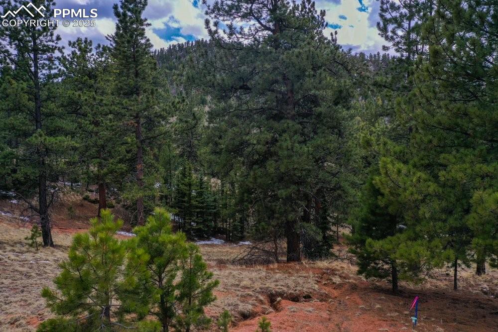 395 Wabash Terrace Cripple Creek CO 80813