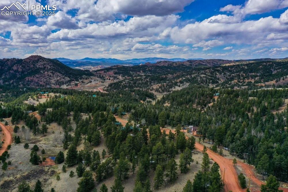 395 Wabash Terrace Cripple Creek CO 80813
