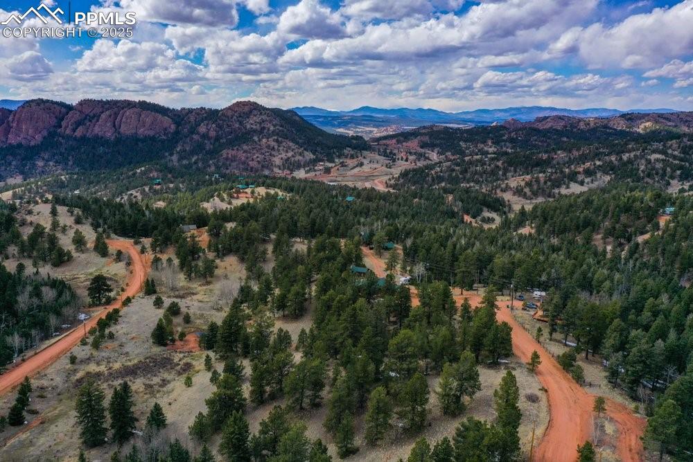 395 Wabash Terrace Cripple Creek CO 80813