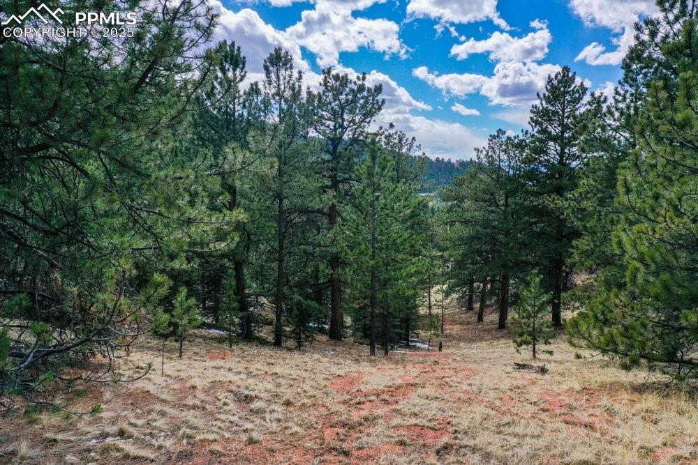 395 Wabash Terrace Cripple Creek CO 80813