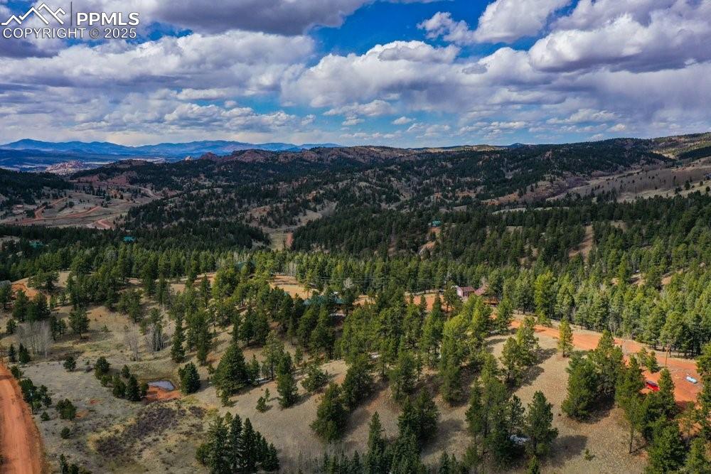395 Wabash Terrace Cripple Creek CO 80813