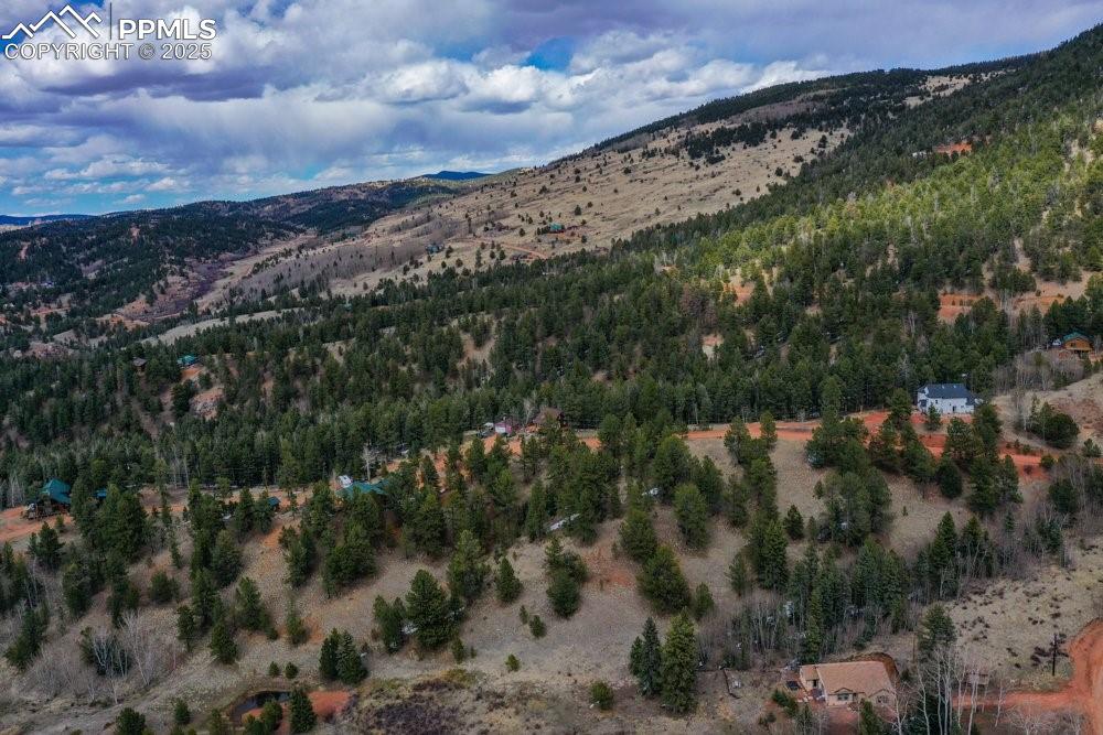 395 Wabash Terrace Cripple Creek CO 80813