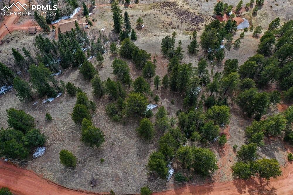 395 Wabash Terrace Cripple Creek CO 80813