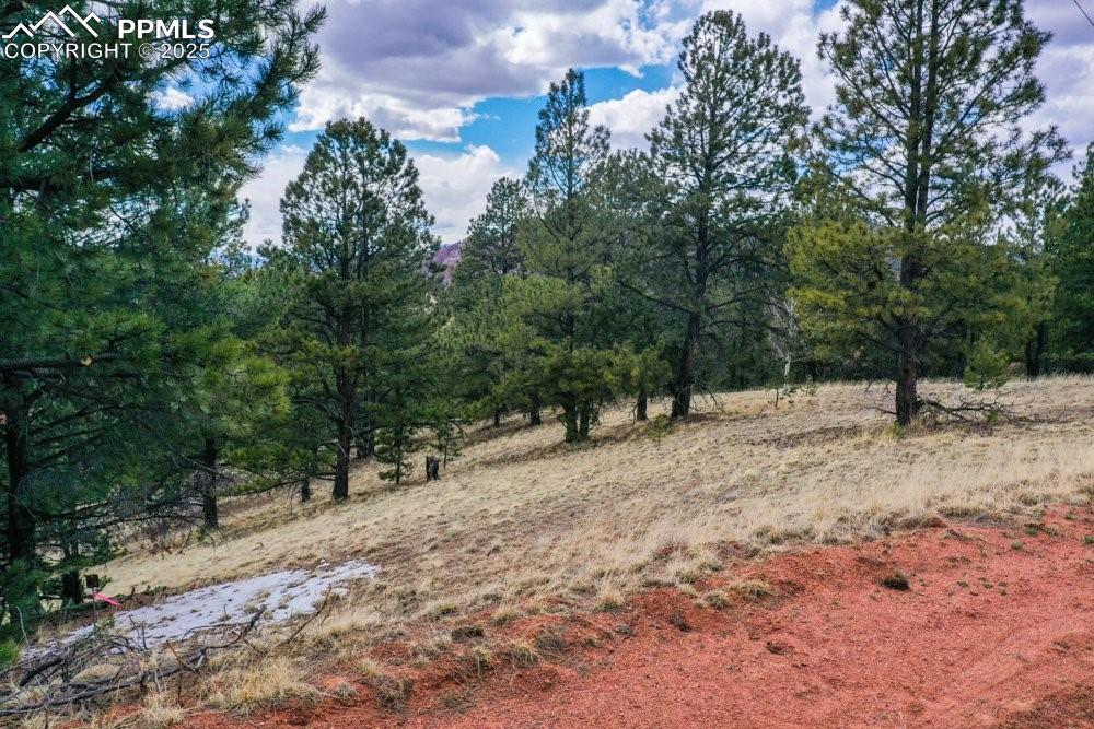 395 Wabash Terrace Cripple Creek CO 80813
