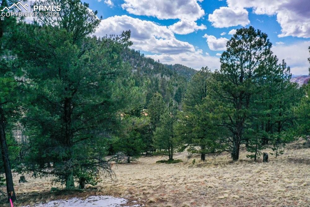 395 Wabash Terrace Cripple Creek CO 80813
