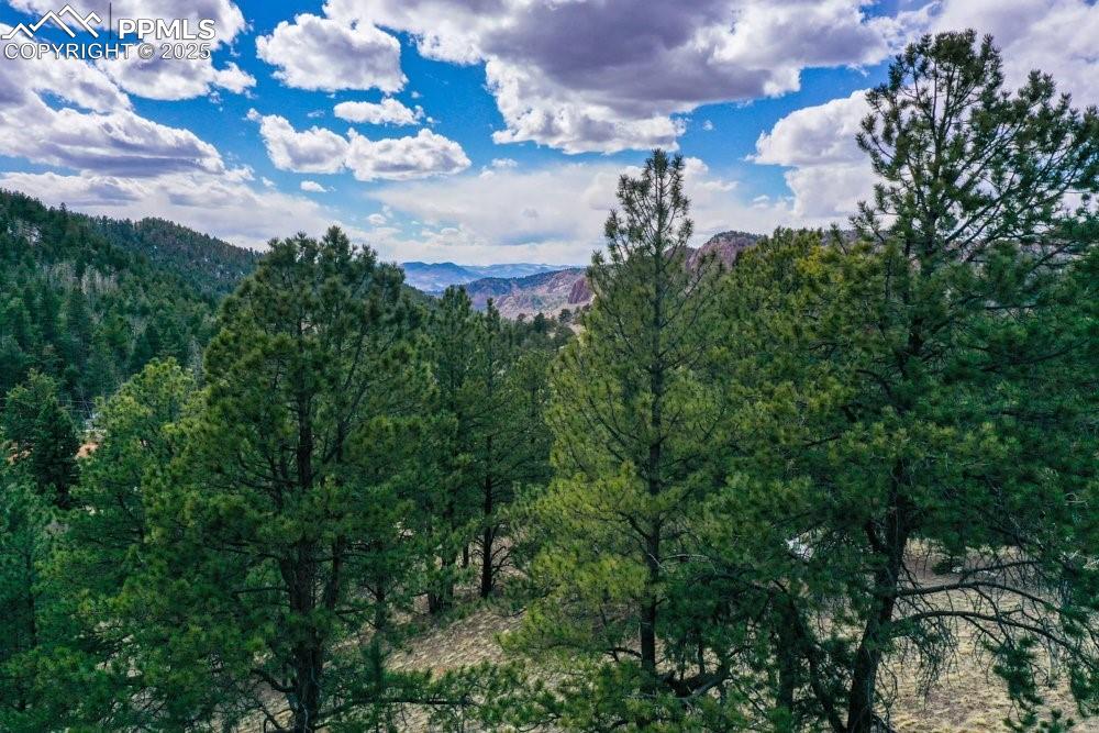 395 Wabash Terrace Cripple Creek CO 80813