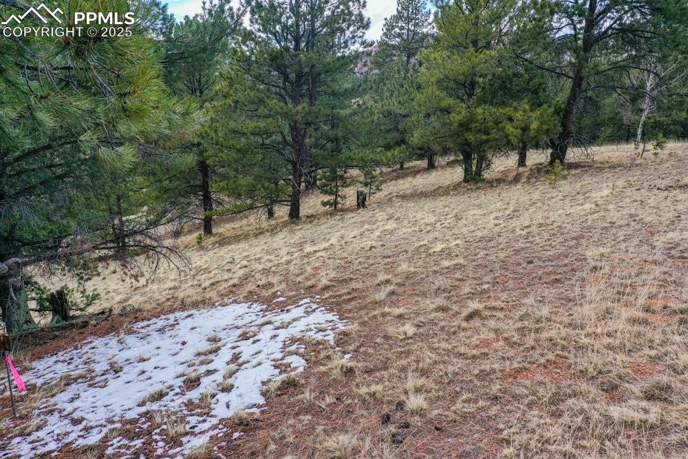 395 Wabash Terrace Cripple Creek CO 80813