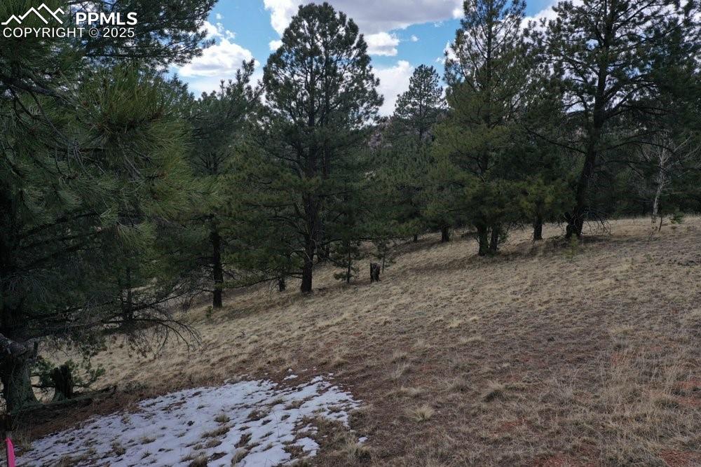 395 Wabash Terrace Cripple Creek CO 80813