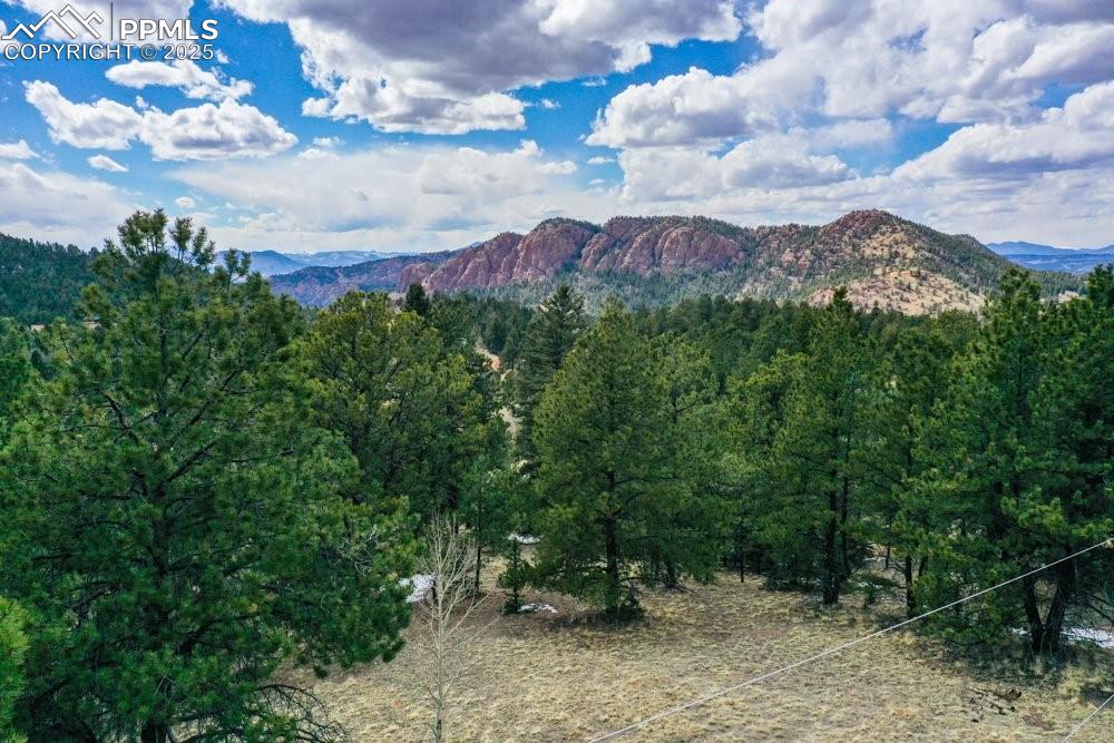 395 Wabash Terrace Cripple Creek CO 80813