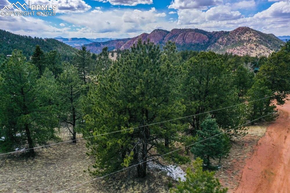 395 Wabash Terrace Cripple Creek CO 80813